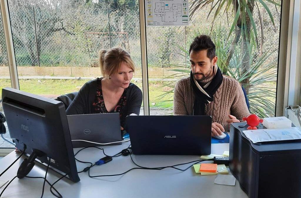 Service Insertion Professionnelle en Entreprise – Ateliers de l’Adages