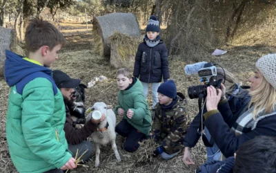 Médiation animale : un souffle d’espoir pour les jeunes du DITEP Le Languedoc – Adages